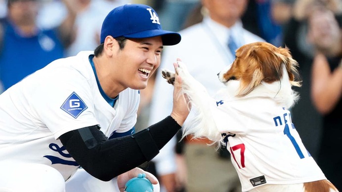 【MLB】大谷翔平が夏を満喫、“プールで遊ぶ”デコピンの姿を公開「大谷さん涼しい写真ありがとう！」「かわいすぎだろ」