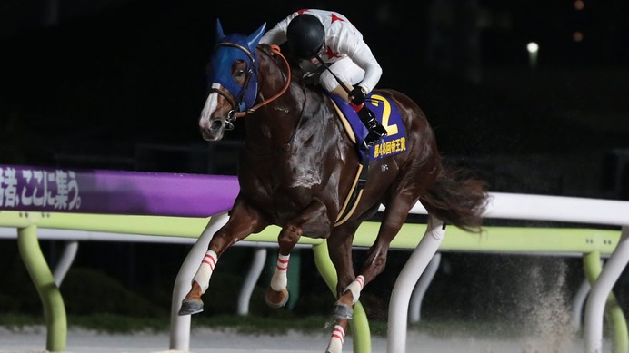 【帝王賞】ミッキーファイトが早め先頭から横綱相撲で優勝　鞍上は「未来のスーパースターホース」と太鼓判