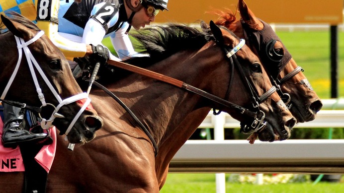 【新潟2歳S／追い切り診断】新馬圧勝リアライズシリウスらに抗う高評価「A」　鞍上が脚の使いどころを掌握した1週前追いに注目