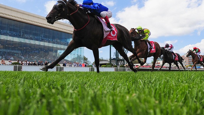 【菊花賞／全頭診断】エネルジコは“ピンかパー”　京都芝外回り無敗の穴馬が波乱の使者候補に