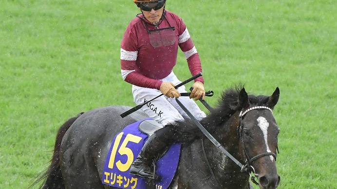 【菊花賞】ジョッキーカメラが捉えた川田将雅の2週連続“ハラハラ”ゲート内　「あー！」で発馬の災難にファン既視感