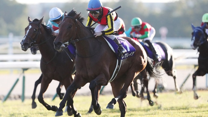 【エリザベス女王杯】ジョッキーカメラに見たレガレイラ・戸崎圭太のブレない映像に、ファン感嘆「ベリベリジョッキー」