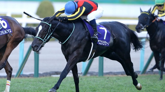 【マイルCS／危険な人気馬】マイルGI馬3強の一角に“黄信号”データ浮上　消しレベルの「1/63と0/4」