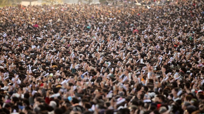 【ジャパンC／大口投票】マスカレードボールの単勝「480万円」と支持集まるが……6人気以下の伏兵にも複勝「230万円」の高額投票あり