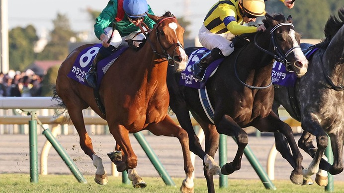 【ジャパンC】「どんなジョッキーカメラより熾烈」各馬のポジション争いにファン熱狂「バッチバチの競り合い」