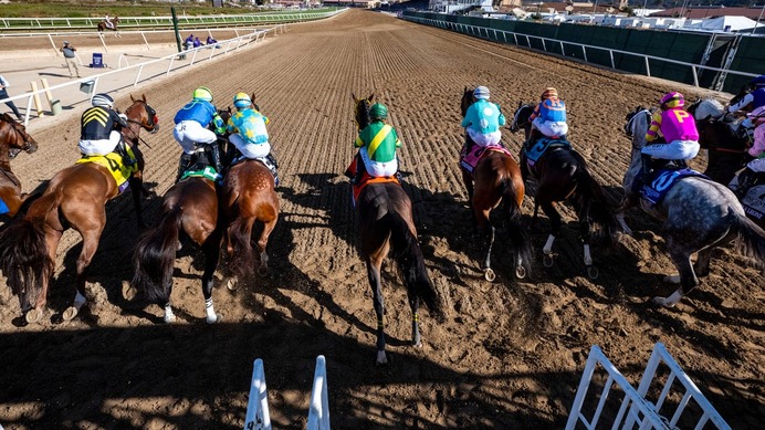 【チャンピオンズC／馬場情報】土曜は8枠好走も“イン突き”がコース攻略　枠と血統で浮上した想定“10人気”の爆穴