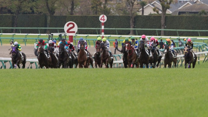 【朝日杯FS／全頭診断】無敗の人気一角に「2.1.2.0」　道悪と急坂替わりでフォーカスすべき“血統傾向”