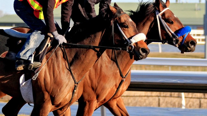 【朝日杯FS／追い切り診断】2戦2勝の一角に高評価「A」　完成度高く「パワフルな動き」　ドカンと伸びて“凄み”増す