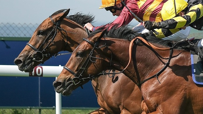【シンザン記念／穴ライズ】実績ありも完全盲点の想定“10人気”前後に熱視線　下馬評低く「妙味たっぷり」の存在