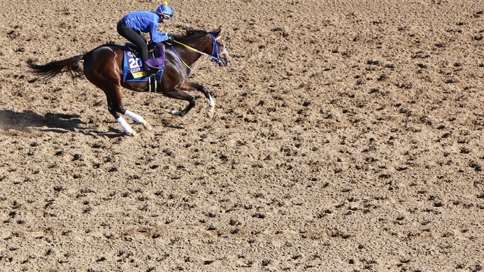 【根岸S／追い切り診断】ローテ意識の調整過程に「A」の高評価　猛時計マークで「スピード感たっぷり」