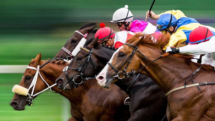 【中山記念／全頭診断】前走GI組なら断然セイウンハーデス　“3着穴”妙味は前走馬券外の7歳馬