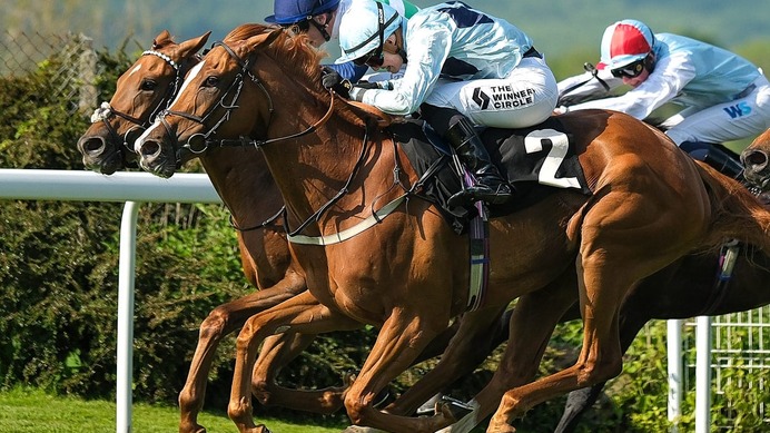 【阪神大賞典／穴ライズ】1人気想定アドマイヤテラと双璧の実績ながら……不当評価の妙味が「走り頃」