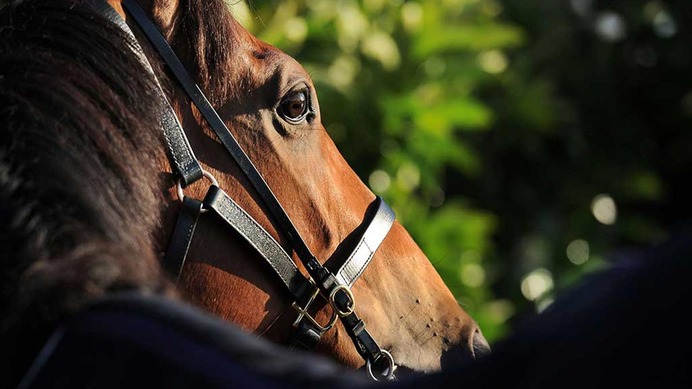 【オークス／危険な人気馬】“名牝も敗れた”前走の完勝ぶりが裏目に出る可能性　「0.0.0.61」が物語る距離不安も