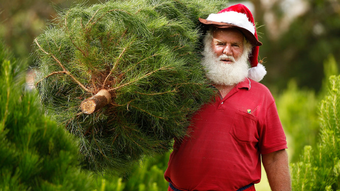 オーストラリア、シドニーのクリスマス（c）Getty Images