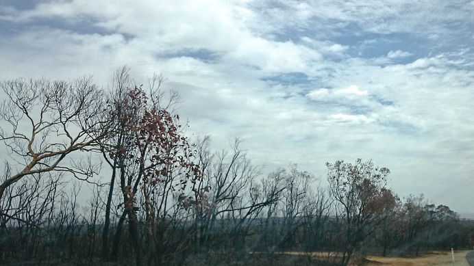 Bushfire Adelaide hills