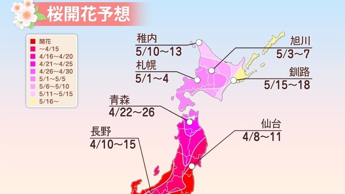 桜前線は東北へ！