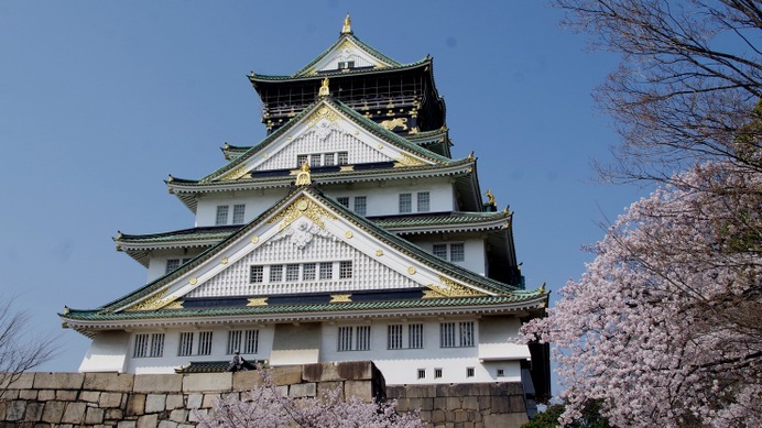 「大坂冬の陣・夏の陣」から400年となる大阪城の桜がほぼ満開へ