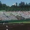 夏の甲子園でも必見！北海高校応援団の「アゲアゲホイホイ」の一体感がスゴすぎる！