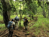 【小さな山旅】高山の入口…日光男体山（1） 画像