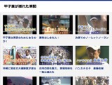 バーチャル高校野球で過去の名シーン動画「甲子園が揺れた瞬間」公開 画像