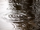 【プロ野球】楽天対ソフトバンクは雨で中止、コボスタが水没 画像