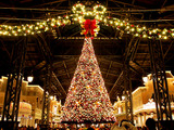 ディズニー・クリスマス開催…パークが華やかなクリスマス一色に 画像