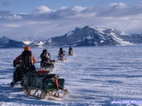 ザ・ノース・フェイス、南極テント生活をトークショーで紹介 画像