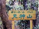 【小さな山旅】ヤブの中からこんにちは…茨城県・天神山（2） 画像