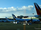 成田空港、航空機発着回数が4年連続過去最高 画像