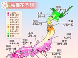 桜開花予想、3回目…来週に九州から関東南部でシーズンに 画像