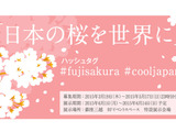 日本の桜を世界へ拡散。富士フイルムとGoogle+がSNS投稿型写真コンテスト 画像