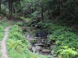 【小さな山旅】沢の水に触れたくなる、衝動はどこから？…宝篋山（2） 画像