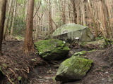 【小さな山旅】堅破山の静寂の中で…茨城県・竪破山（1） 画像
