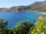 【山口和幸の茶輪記】地中海で4番目に大きな島、コルシカの魅力 画像