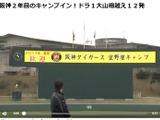 阪神タイガースのキャンプ動画、デイリースポーツ・オンラインが無料配信 画像