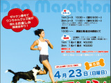 犬と人が一緒に走る「ドッグマラソンin葛西臨海公園」4月開催 画像