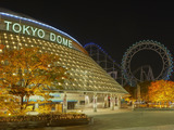 グラウンドで夜ヨガ体験！「ナイトヨガ in 東京ドーム」5月開催 画像