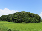 【小さな山旅】夏と千葉と最低山…千葉県富津市・稲荷山 画像