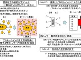 東京五輪に向けオール関東で連携、シンポジウム開催 画像