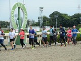 園田競馬場のダートコースを走る「ダートランinそのだけいば」12月開催 画像
