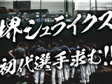 プロ野球独立リーグ「堺シュライクス」が新入団選手募集のトライアウトを実施 画像