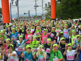 ガマまみれの奇祭！カエルマスクで激走する「筑波山がまレース」9月開催 画像