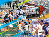 令和を迎える高校野球特集「夏の高校野球特別展2019」開催…甲子園歴史館 画像