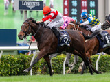 【競馬】香港国際競走　ダノンスマッシュ&#038;ノームコアの日本馬2騎が優勝！ 画像