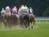 【安田記念／馬場情報】東京は「芝:良／ダ:重」でスタート、午後のレースで馬場コンディションをチェック 画像