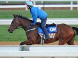 【エプソムC／追い切りジャッジ】コントレイルの2着の素質馬が青写真通り成長、前走以上の「A」評価 画像