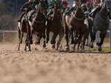 【ピックアップ2歳馬】歴代最高レベルのオキザリス賞からダート界の名馬誕生か　勝ち馬ドライスタウトに最高評価「星5」　 画像