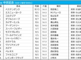 【中京記念／枠順】ファルコニアは大外8枠15番、条件合致で複勝率50.0％の好枠に 画像