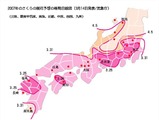 気象庁2回目の桜開花情報発表。花見サイクリングは 画像