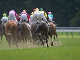 【大阪杯／馬場情報】阪神は雨予報から回復、芝のクッション値「やや硬め」で高速決着か 画像